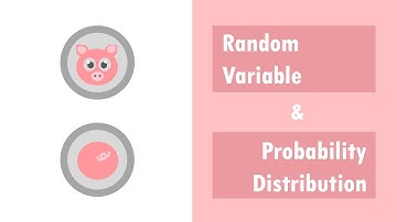 Random Variable & Probability Distribution | Data Science Concepts Easily Explained | Statistics 101