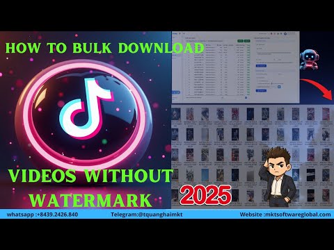 Guide On How To Bulk Download TikTok Videos Without Watermark In Just 2 Minutes