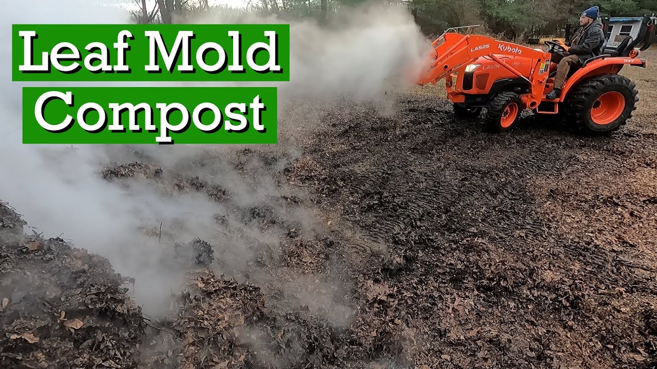 Leaf Mold Compost Benefits Facts & Details YouTube