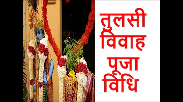 तुलसी विवाह पूजा विधि || tulsi vivah vidhi || tulsi vivah katha