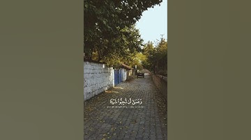 سورة البقرة الآية (216). 💚💚