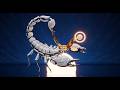 SCORPIO FULL MOON MAY 1ST - What YOU Can Expect