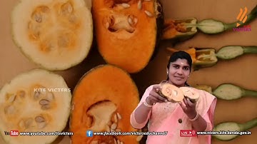 KITE Palakkad STD 6 Basic Science Tamil Chapter 3 Episode 14 (First bell Tamil medium - பஸ்ட் பெல்)