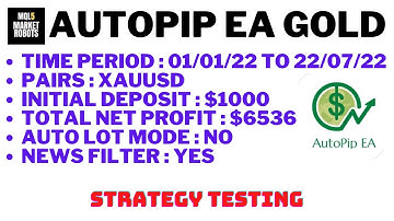 Autopip EA Gold MT4 Forex Forex Expert Advisor Strategy Testing