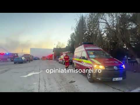 Incendiu de proportii la depozitul unei fabrici de produse de patiserie de langa Timisoara