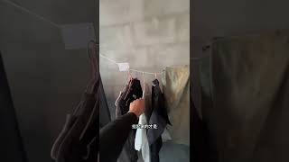 当代年轻人的装修“穷装版”。 #装修日记 #vlog十亿流量扶持计划 #自己装修 #毛坯房入住 #温馨小家