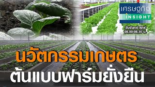 นวัตกรรมเกษตร ต้นแบบฟาร์มยั่งยืน I เศรษฐกิจ insight 11 ส.ค. 63