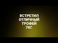 Подводная охота.Встретил трофей.Крупный Карп.