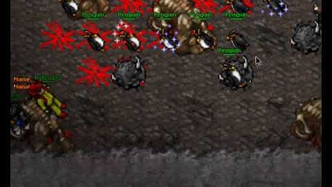 Tibia ot server quest
