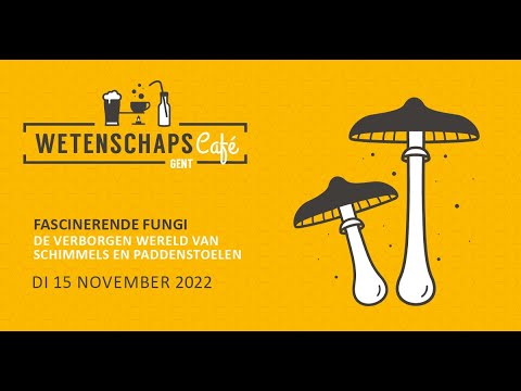 Video: Een verscheidenheid aan champignon - hoe onderscheid te maken tussen eetbare en giftige paddenstoelen?