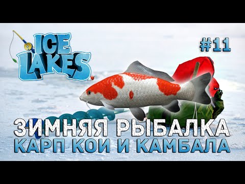 Видео: Зимняя рыбалка. Карп Кои и Камбала - Ice Lakes #11