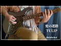 『愛の迷路 -8·11 PAGODA LIVE VERSION-』TULIP / Guitar Covered by daiakekai🎸