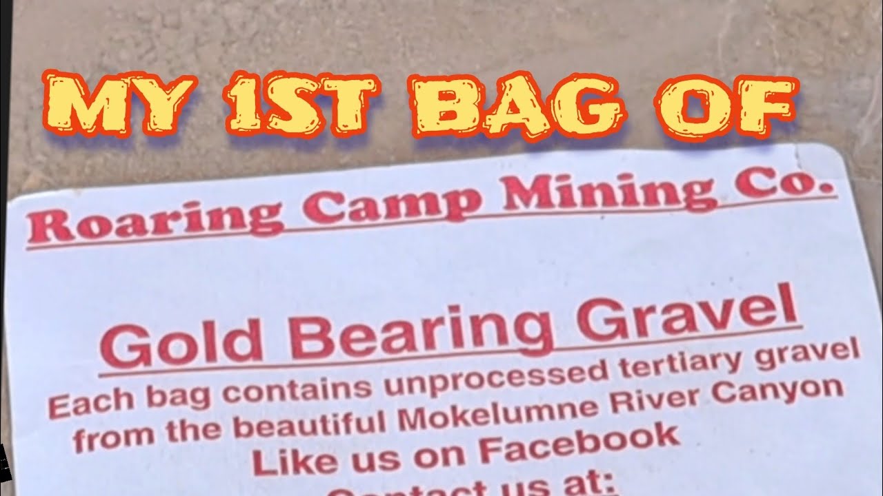 Roaring Camp Pay Dirt Guaranteed Gold – Adventures In Prospecting