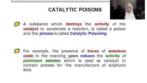 CHE505 ChapterOne Part 1 3 Catalysts