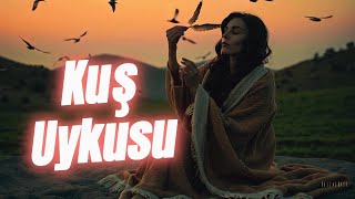 Kuş Uykusu Anatolian Resimi