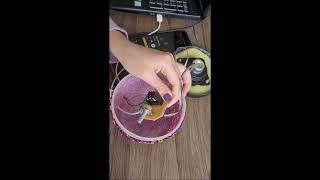 Ses Yükseltici Devre Ve Anlatımı