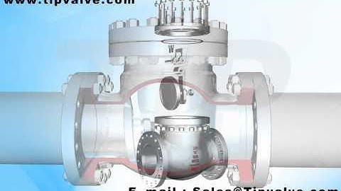 Swing Check Valve
