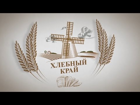 «Хлебный край»: пересчитают ли пчёл чипами в ходе цифровизации сельского хозяйства