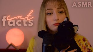 ASMR | Facts About Cats