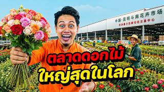 ตลาดดอกไม้สดใหญ่ที่สุดในโลก screenshot 3