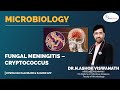 Microbiology  fungal meningitis  cryptococcus  raaonline microbiology fungal cryptococcus