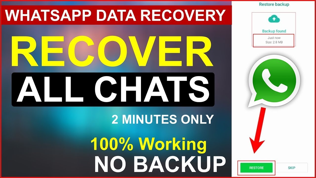 How To Recover Deleted WhatsApp Chats Photos Without Backup On Android how-to-recover-deleted-whatsapp-chats-photos-without-backup-on-android