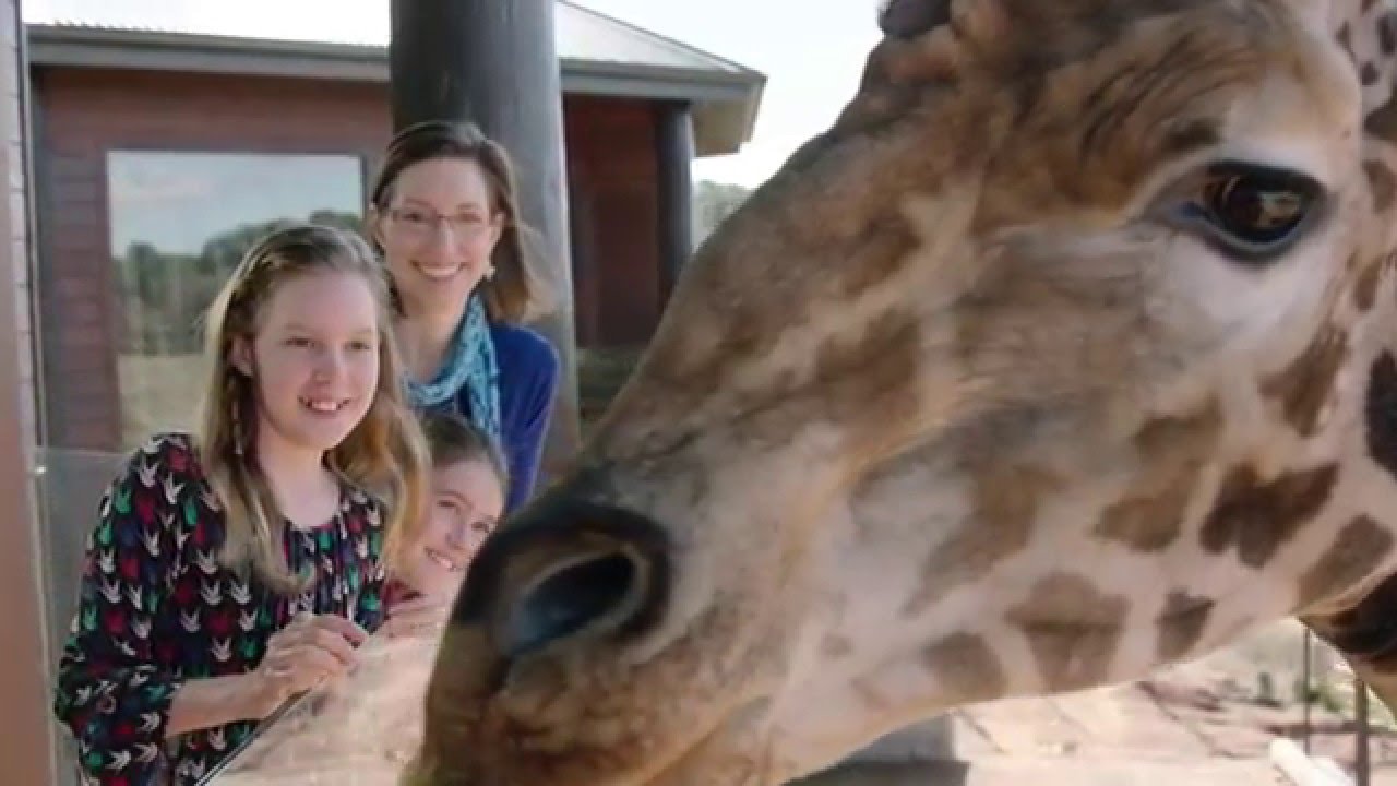 Jamala Wildlife Lodge Canberra, Australia