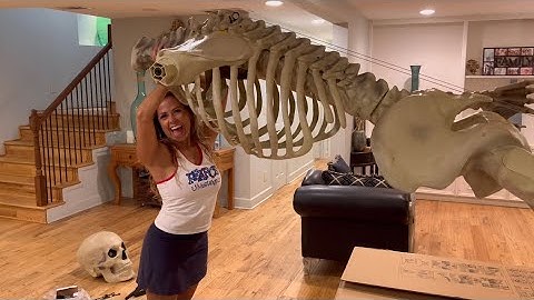 How To Assemble 12 Ft. Skeleton | Unboxing & Assembly ☠️🛠️