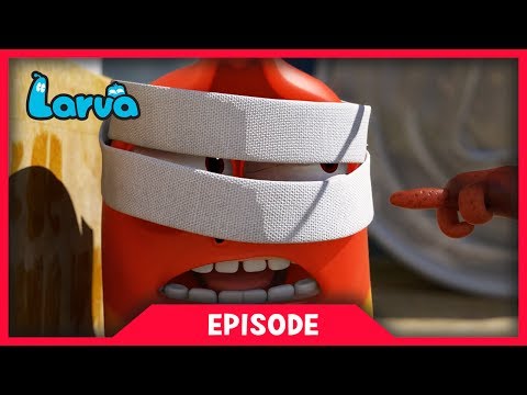LARVA - TAG | Cartoon Movie | Cartoons For Children | Larva Cartoon | LARVA Official