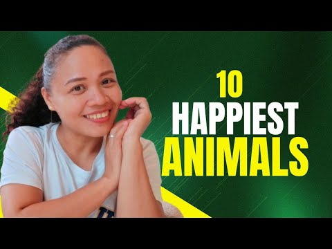 TOP 10 HAPPIEST