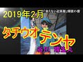 20190202 テンヤタチウオ　谷川港 瑞宝丸　ショート