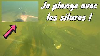 PLONGÉE AVEC LES SILURES DU CHER EN SORTIE KAYAK ! VUE SOUS-MARINE. 