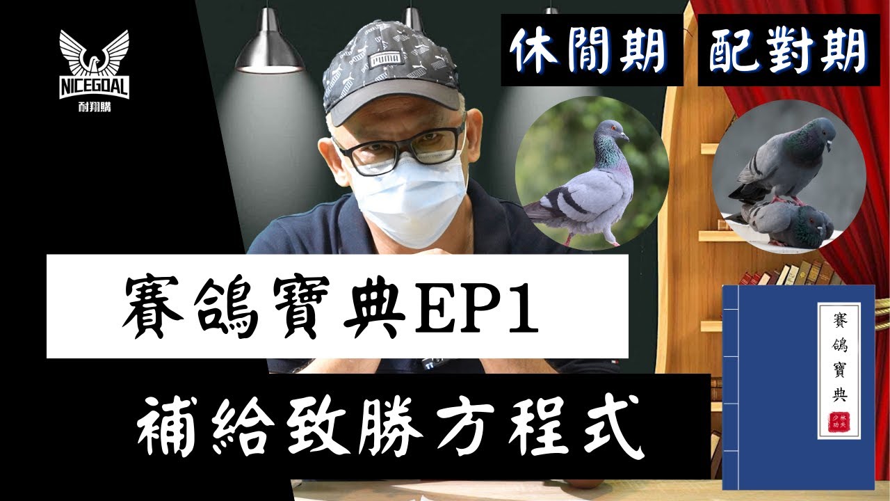 【賽鴿寶典】許督導的賽鴿寶典EP1-休閒期&配對期｜耐翔購