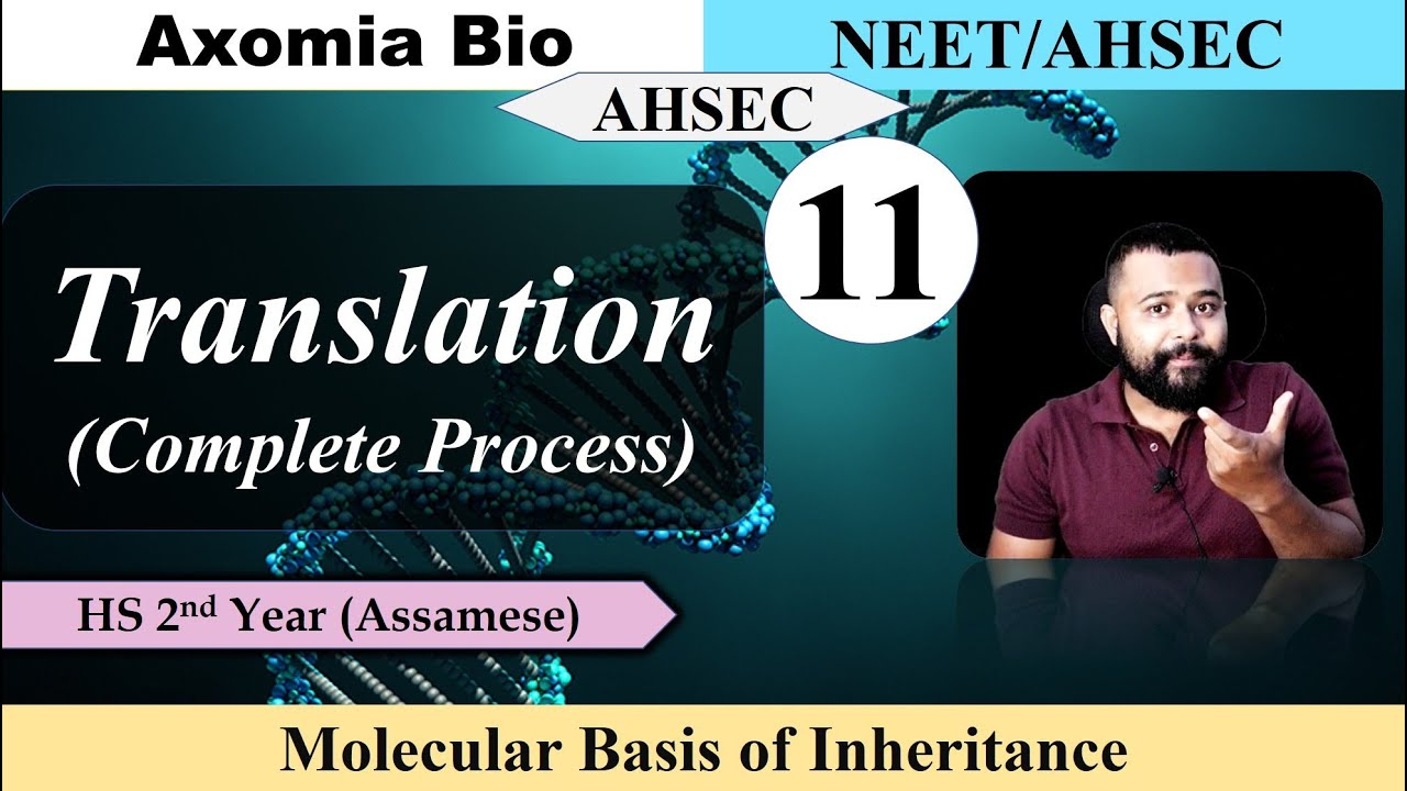 Molecular Basis of Inheritance|Lecture 11| Translation Process|Dr. Rajib Borah|Axomia Bio