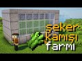 Minecraft&#39;ta Şeker Kamışı farmı yapımı