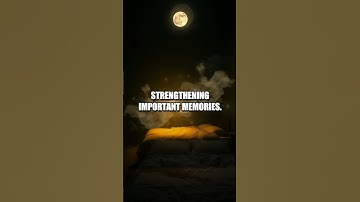 The Role of Sleep in Memory Consolidation