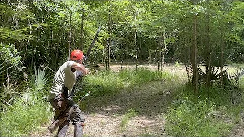 Bow Hunting Georgia Hogs with the NY Boys