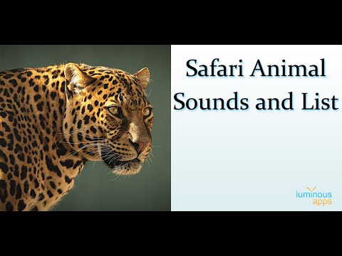 safari animals noises