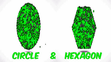 LEARN SHAPES WITH COLOR BALLS (CIRCLE & HEXAGON) Sponsored BY; Preview 2 Random Effects Combined