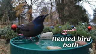 Heated bird bath - holiday edition