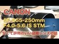 キヤノンEF-S55-250mmf4-5.6 IS STM・安くて評判のいいレンズで撮ってみた