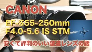 キヤノンEF-S55-250mmf4-5.6 IS STM・安くて評判のいいレンズで撮ってみた