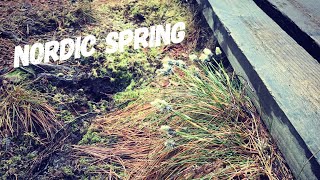 April Walk In Helsinki And Kauniainen, Nordic Spring