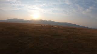 Montana - Cinematic FPV