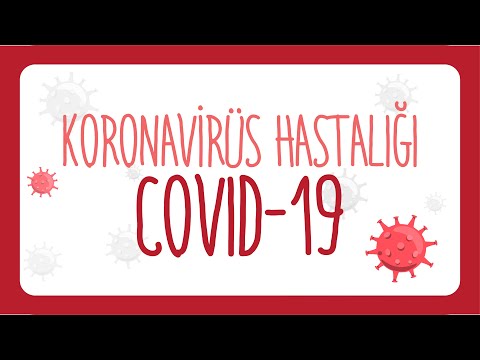 Koronavirüs ne zaman bitecek? | Covid-19