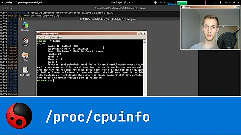 OS hacking: Exposing the CPU hypervisor signature to userland