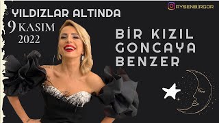 Ayşen Birgör | Bir Kızıl Goncaya Benzer | Yıldızlar Altında 9 Kasım 2022 #YıldızlarAltında Resimi
