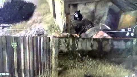 mw2 overgrown glitch **new**