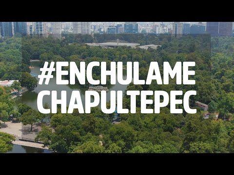 Esto sabemos de la enchulada a Chapultepec 🌱🌲🌳 | CHILANGO