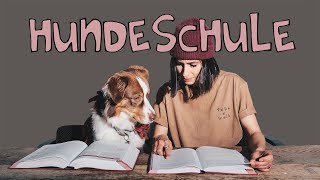 Muss ich in die Hundeschule? // ACHTUNG! Nicht jede Hundeschule macht Sinn // hundplusherz